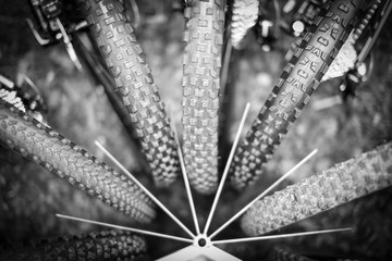 Mountainbike-Reifen © Philipp Kobel