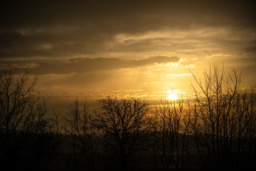 Sunset over pure nature with tree shi on the side