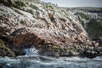 Ballesta Islands, Peru