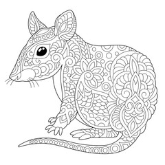 coloring page with mouse or rat