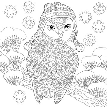 coloring page with winter owl