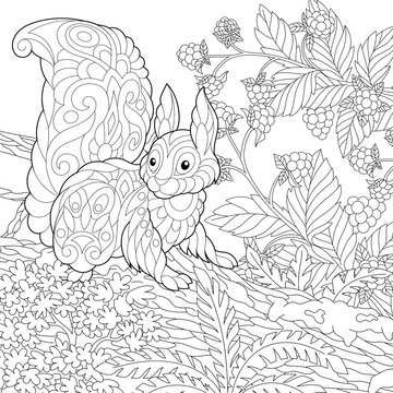 coloring page with cute squirrel in the forest