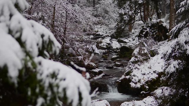 Joli ruisseau dans la for&ecirc;t enneig&eacute;e 