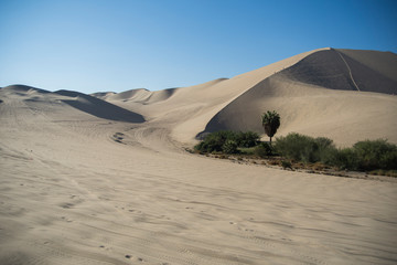 Fototapeta na wymiar La Huacachina oasis in Ica desert, Peru