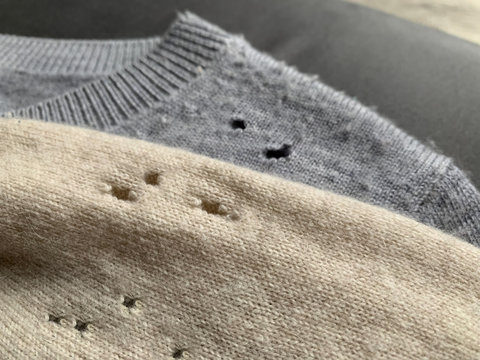 Two expensive cashmere sweaters with holes and damaged, caused by cloth moths (Tineola bisselliella). Selective focus