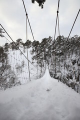 bridge covered with snow