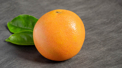 Grapefruit on gray background