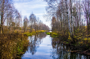 Fototapeta na wymiar A river with green foliage flows through the forest.