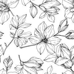 Fleurs botaniques florales de vecteur Magnolia. Art à l& 39 encre gravée en noir et blanc. Motif de fond sans couture.