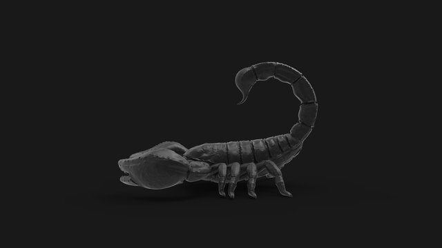 3d rendering of a scorpion isolated in a studio colored background