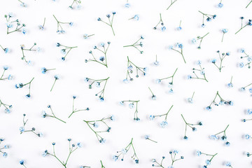 Beautiful flower background of blue gypsophila flowers.