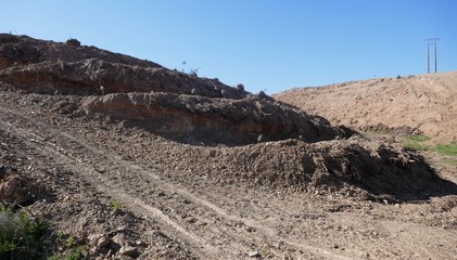 Reforestation, regeneration and regrowth of eucalyptus trees after forest fires in Portugal