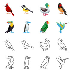 Fototapeta premium Vector design of animal and wild icon. Set of animal and natural stock vector illustration.