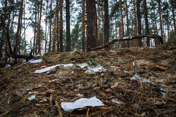 Garbage in pine forest. People illegally thrown garbage into forest. Concept of man and nature.
