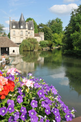 Fototapeta na wymiar flowers in France