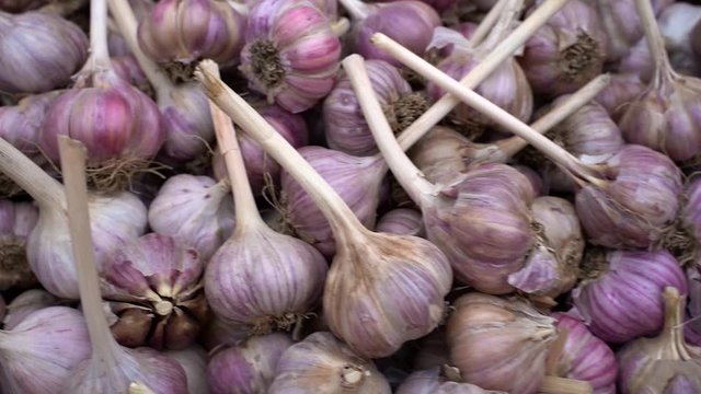 fresh garlic on the market