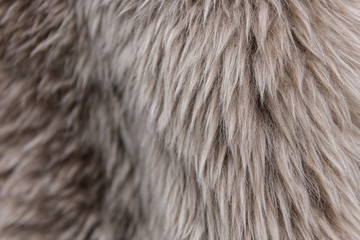 The texture of beige fur. The fur is beautiful, long hair. Shades of gray - dark and light.