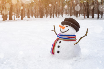 Christmas scene with a cheerful snowman in the park