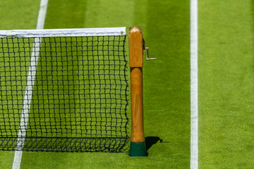 Tennis lawn Court, net grass and baseline  - 303433561