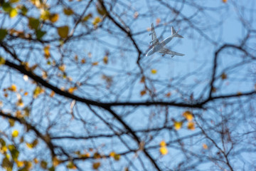 Airplane through autumn branches