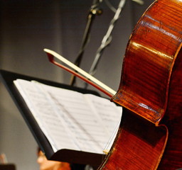 Professional cello player's hands close up, he is performing with string section of the symphony...
