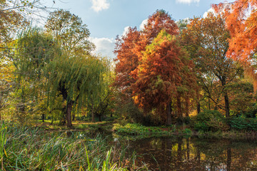 Colorful red and yellow autumn trees and a pond