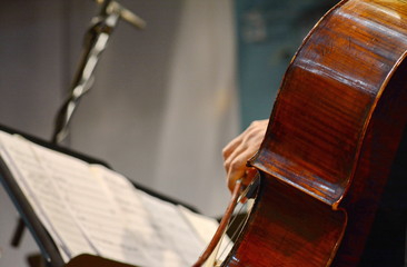 Professional cello player's hands close up, he is performing with string section of the symphony...