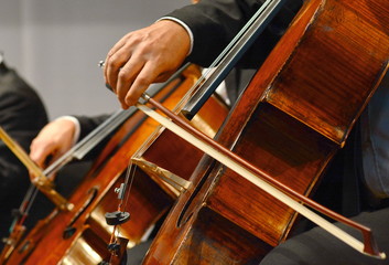 Professional cello player's hands close up, he is performing with string section of the symphony orchestra