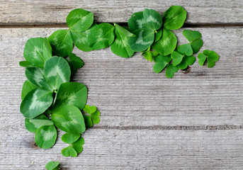 Border of fresh green shamrock leaves on a old wooden background. Template to Saint Patricks day...