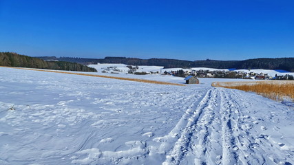 Fototapeta na wymiar Winter, landscape,snow, bavarian landscape,