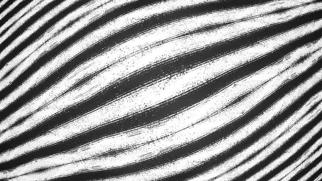 Fish Eye Noise Lines Wavy Flowing Screen Background