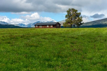 Fototapeta na wymiar Brown farmers cottage with big tree outdoors with mountain scenery background. Landscape and nature concept in norway/sel/rondane/kvam/oppland/hedmark.