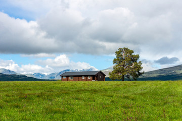 Brown farmers cottage with big tree outdoors with mountain scenery background. Landscape and nature concept in norway/sel/rondane/kvam/oppland/hedmark.