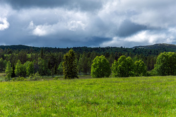 Green fields and dark clouds outdoors on in the norwegian nature. Landscape and nature concept.