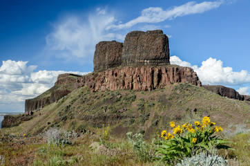 Naklejka na ściany i meble Spingtime view of Twin Sisters Rock with a clump of flowers in the foreground, Washington State, USA