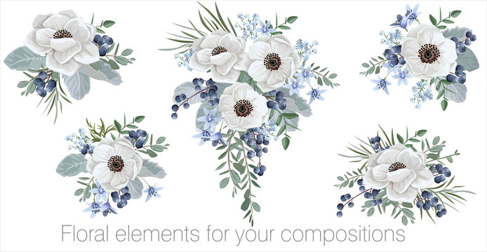 Vector floral set with leaves and flowers. Elements for your compositions, greeting cards or wedding invitations. Anemone