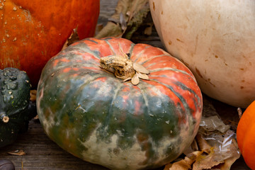 Gourds