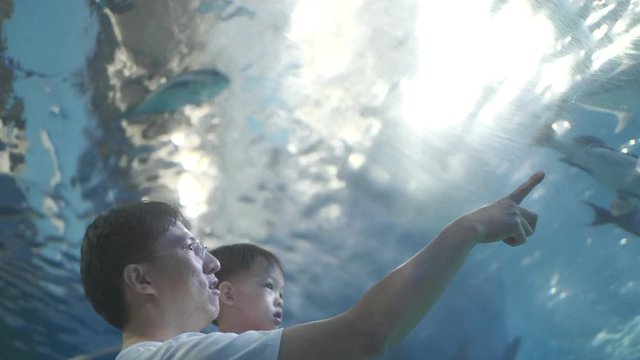 Father and son looking at fish in aquarium, Asian dad and toddler son watching fish swimming in oceanarium, Dad pointing at fish, Family enjoying underwater life in Aquarium, Selective focus at Dad