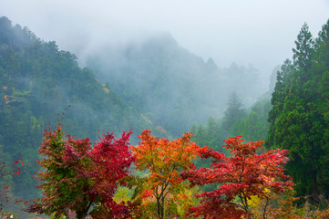 霧景