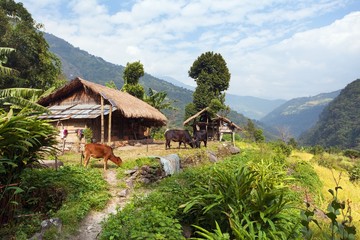 Fototapeta na wymiar beautiful house in Nepal, Khumbu valley,