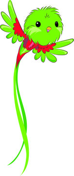  Quetzal, green bird, bird cute cartoon