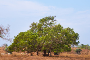 2019_october_brazil_trip