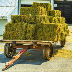 Amish country hay loaded wagon on the farm barn agriculture in Lancaster, PA US