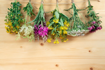 Bundles of medicinal herbs dried near a light wooden wall, alternative medicine and herbal treatment concept, copy space, place for text, background