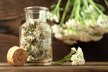 Concept of homeopathy and herbal treatment - dried achillea millefolium know as yarrow in a bottle © Галина Сандалова