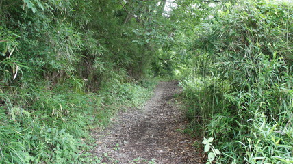 Japanese Mysterious Fantastic Quarry ruins