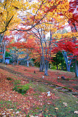 秋の土津神社（福島県・猪苗代町）