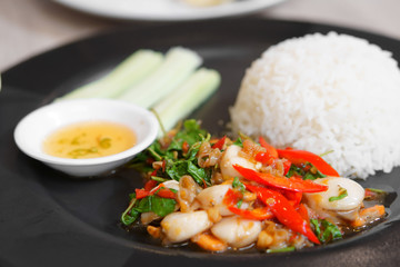 Stir fried basil scallops with cucumber and white rice on black dish with chilli fish sauce for lunch and spicy delicious food or Thai seafood in restaurant or food court