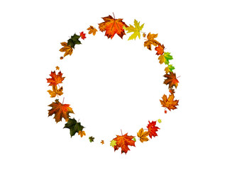 Leaves isolated. Autumn leaf pattern. Season falling leaves background.
