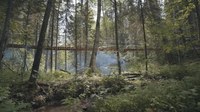 View of the wooden suspension bridge hanging in the coniferous forest and blue smoke. Stock footage. Tourism and travelling concept